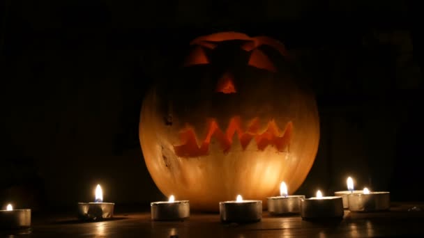 Terrible Halloween pumpkin surrounded by many candles in dark — Stock Video