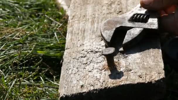 Mãos masculinas apertar chave e parafuso em uma placa de madeira vista de perto — Vídeo de Stock