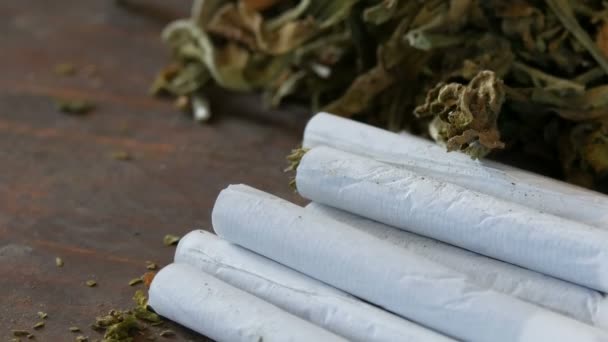 Suchých Tabákových Listů Vedle Domácí Cigarety Nebo Roll Plněný Sekanými — Stock video
