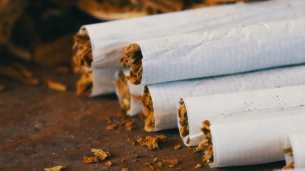Ev yapımı sigara filtre uygulamak veya kıyılmış tütün ile doldurulmuş kuru tütün yaprakları yanındaki roll-up — Stok video