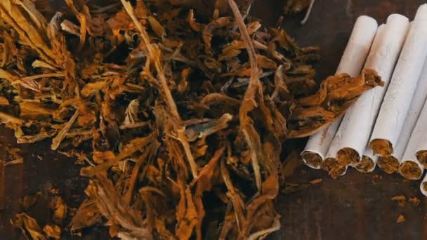 Filtra cigarrillos caseros o roll-up junto a hojas secas de tabaco rellenas de tabaco picado — Vídeo de stock