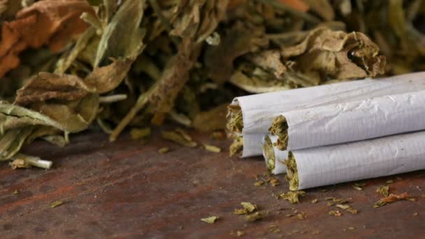 Homemade cigarettes or roll-up stuffed with tobacco are on a table next to dry tobacco leaves — Stock Video