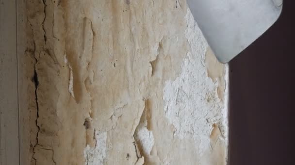 Decrepit wallpaper on the wall, home repair, Man peeling old wallpaper with special spatula. — Stock Footage Decrepit Wallpaper Wall Home Repair Man Peeling Old Wallpaper Special Stock Video