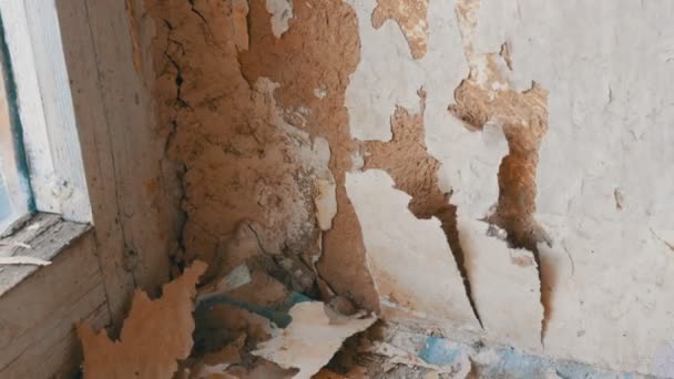 Adam özel spatula ile eski duvar kağıdı soyulması. Sarı, eli ayağı tutmaz duvar kağıdı duvar ev onarım yakın çekim — Stok video