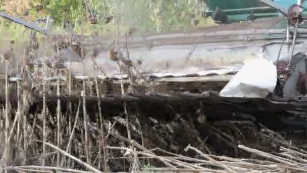 Moissonneuse-batteuse agricole dans le champ pendant la récolte tournesol sec vue de près. Combiner le travail sur champ de tournesol .