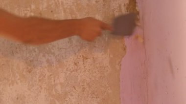 Bir duvar, ev onarım eli ayağı tutmaz pembe duvar kağıdı. Özel spatula ile eski duvar kağıdı soyulması adam.