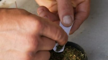 İnce kağıt ve rendelenmiş tütün plastik bir çanta dışarı alarak ve kendini beyaz bir arka plan üzerine bir sigara haddeleme adam görünümü kapatın