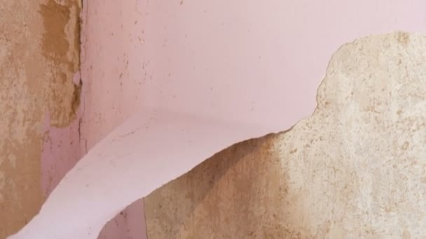 Ремонт будинку. Чоловіча рука відриває рожеві старі шпалери від стін спеціальним шпателем — стокове відео