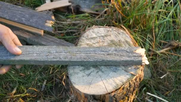 Männerhände hacken mit einer Axt Brennholz auf einem speziellen Baumstumpf vor einem Hintergrund aus schönem grünen Gras in der untergehenden Sonne. Mann hackt Holz für Grill, Kamin oder Herd — Stockvideo