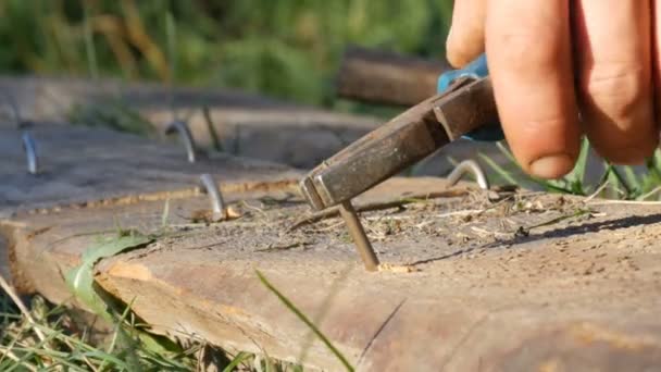 人用钳子在旧木板上弯曲铁钉 — 图库视频影像