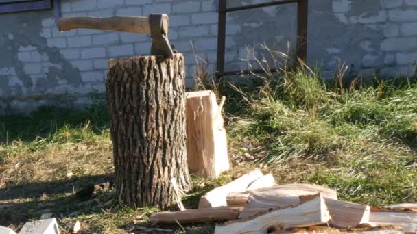 Groot dorp ax plakken in de boomstronk en brandhout in de buurt van — Stockvideo