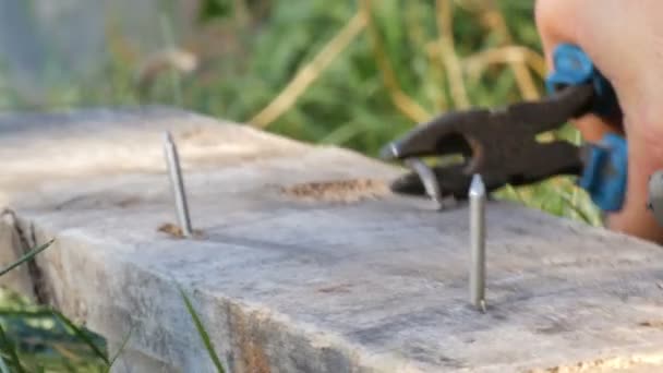 Homme plie des clous de fer avec des pinces sur une vieille planche — Video