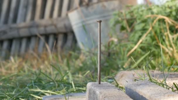 Homme martelant utilisé ongle long dans de vieilles planches — Video