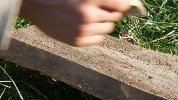 Mannenhand schildert het oppervlak van houten plank met een penseel van de bouw en de grijze verf — Stockvideo