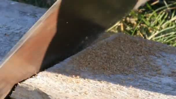 Vista de cerca de un hombre aserrando madera Tablero con sierra de mano y aserrín — Vídeos de Stock