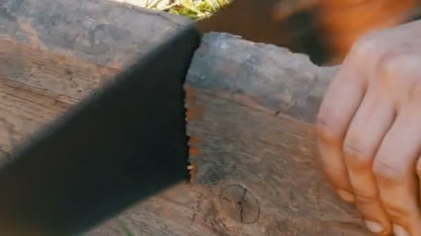 Vista de cerca de un hombre aserrando madera Tablero con sierra manual — Vídeo de stock