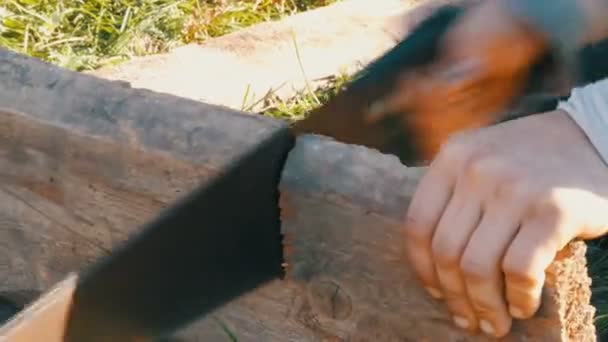 Man zagen van houten bord met hand zag — Stockvideo