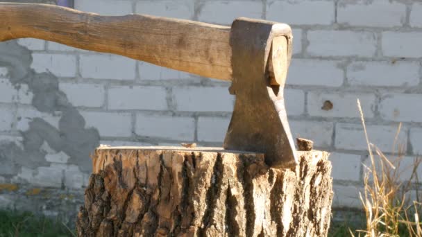 大村庄斧头粘在树桩上 — 图库视频影像