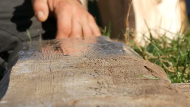 Pintura de madera con pincel de color gris — Vídeos de Stock