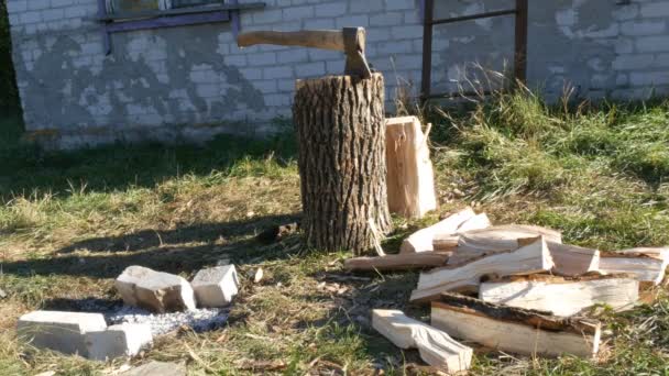 Aldeia quintal, um machado no tronco da árvore, lenha picada espalhada — Vídeo de Stock