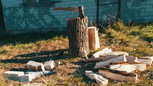 Сільський двір, сокира в стовбурі дерева, подрібнені дрова розкидані — стокове відео