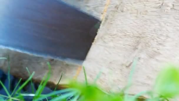 男子锯一块木头与手持老铁锯关闭视图 — 图库视频影像