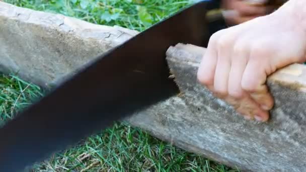 Men Saws Piece Wood Hand Held Old Iron Saw Close — Stock Video