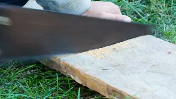 Homens serra um pedaço de madeira com mão de ferro velho viu de perto vista — Vídeo de Stock
