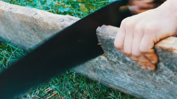 男子锯木板与手锯 — 图库视频影像