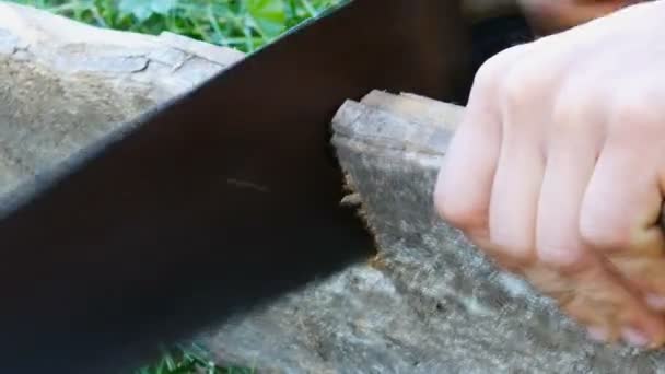 Człowiek piłujący drewnianą deskę piłą ręczną — Wideo stockowe