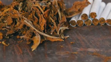 Ev yapımı sigara veya püresi büyük kuru tütün yapraklarının yanındaki masada vardır