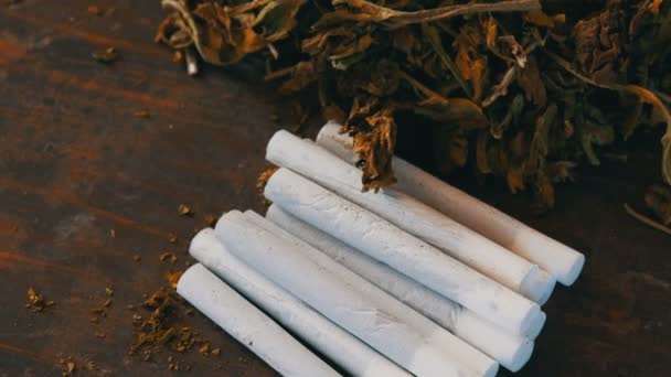 Filter homemade cigarettes or roll-up next to dry tobacco leaves stuffed with chopped tobacco — Stock Video