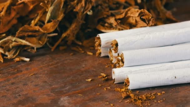 Filter homemade cigarettes or roll-up next to dry tobacco leaves stuffed with chopped tobacco — Stock Video