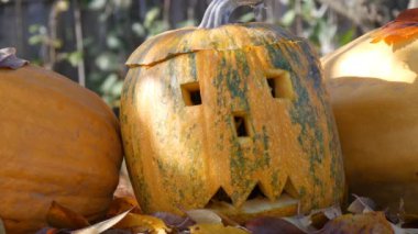 Oyma halloween pumpkins dekor dışarıda bekle. Sonbahar tatil hazırlanma