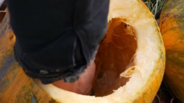 Adam bir kabak içini temizler. Eller içinde kabak çekirdeği çıkarın. Cadılar Bayramı için hazırlanıyor