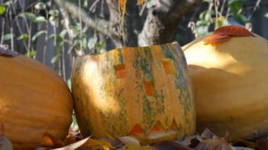 Oyma halloween pumpkins dekor dışarıda bekle. Sonbahar tatil hazırlanma