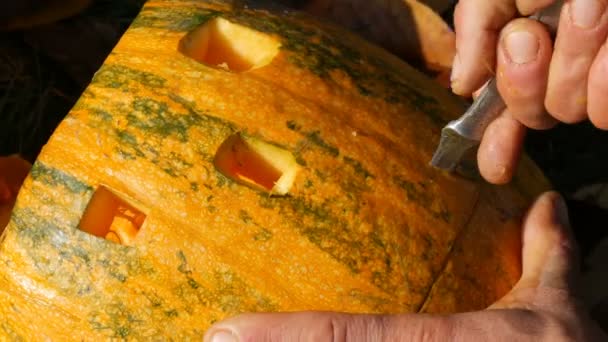 El hombre talla cara para una calabaza de halloween. Preparación para las vacaciones de otoño — Vídeos de Stock