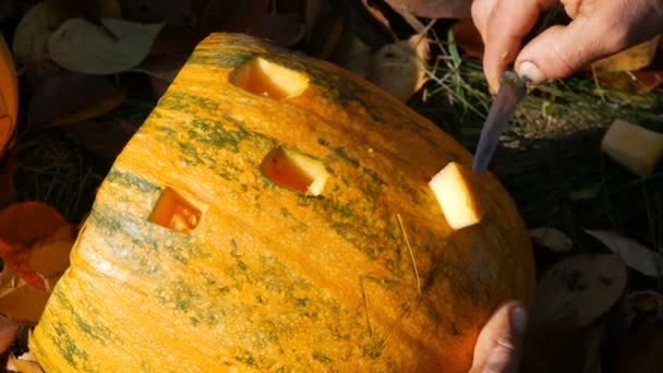 El hombre talla cara para una calabaza de halloween. Preparación para las vacaciones de otoño — Vídeos de Stock