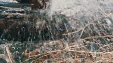 Bir adam kuru ağaç gövdeleri ile elektrikli testere, testere talaşı sinek her yerde keser