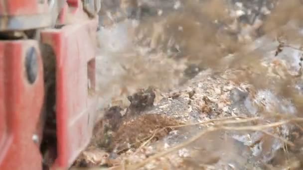 Un homme coupe des troncs d'arbres secs avec une tronçonneuse, la sciure volent partout — Video