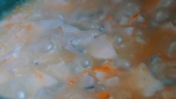 Кипячение грибов и моркови в мультикукере вблизи — стоковое видео