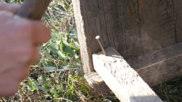 Mannelijke timmerman hamers ijzeren nagel in een houten plank — Stockvideo