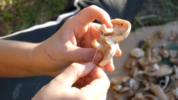 Las manos de un adolescente colgaron hongos en una cuerda para secar. Cosecha otoñal de setas — Vídeos de Stock