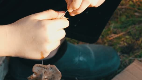 As mãos de um adolescente esticaram cogumelos em uma cadeia para secar. Colheita de outono de cogumelos — Vídeo de Stock