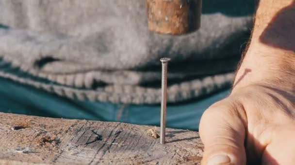Nahaufnahme eines männlichen Zimmermanns hämmert eisernen Nagel in eine Holzplanke