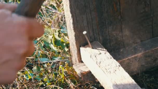 Gros plan du menuisier mâle marteau ongle de fer dans une planche de bois — Video