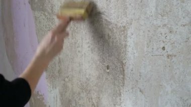 Bir el duvar kağıdı yapıştırıcı duvara özel bir fırça ile daha sonra duvar kağıdı yapıştırmak için smear