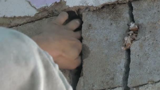 Maschio costruttore copre grande foro in un muro di cemento — Video Stock