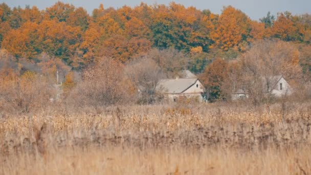 Casas rurales solitarias y hierba gris seca en un otoño profundo — Vídeo de stock