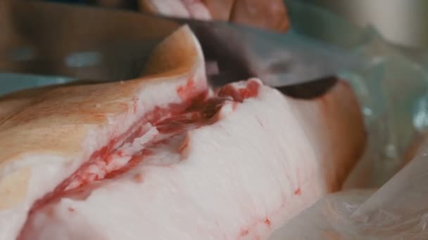 Manliga slaktare skär en stor bit av färskt griskött med en stor kniv. Fläsk späck med kött och hud nära håll view — Stockvideo